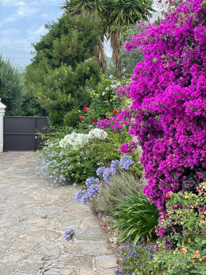 Les Trefles Appartement Hyères Buitenkant foto